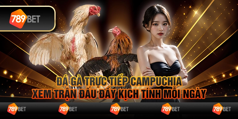 Đá gà trực tiếp Campuchia, xem trận đấu đầy kịch tính mỗi ngày