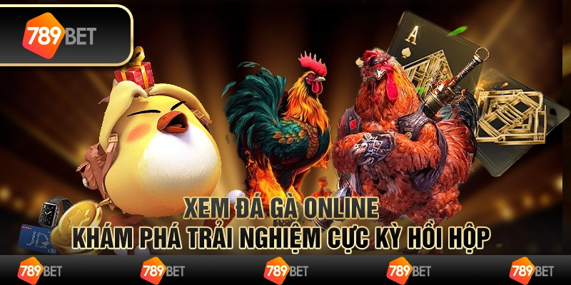 Xem đá gà online – khám phá trải nghiệm cực kỳ hồi hộp