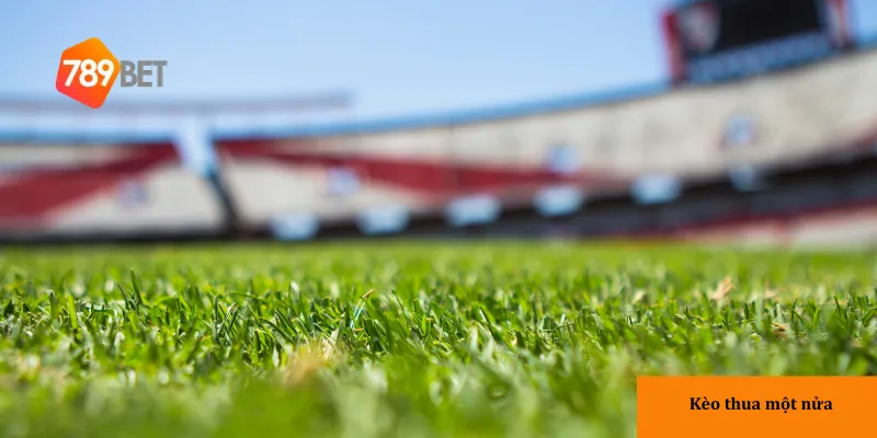 3 yếu tố ảnh hưởng đến tỷ lệ thắng trong kèo thua một nửa