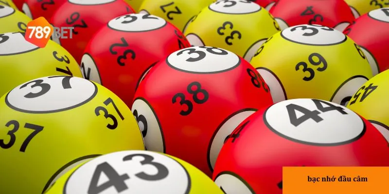 Giới thiệu về Bạc nhớ đầu câm