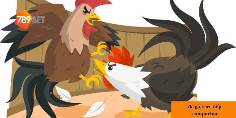 Cách đặt cược đơn giản và linh hoạt tại nhà cái