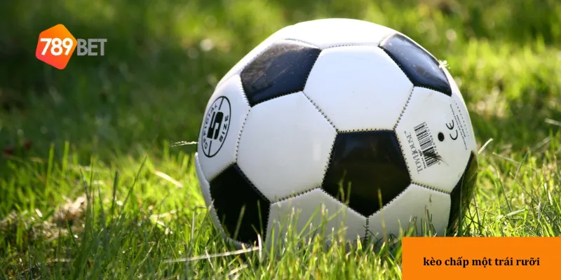 Bí quyết chọn trận đấu phù hợp để đặt kèo