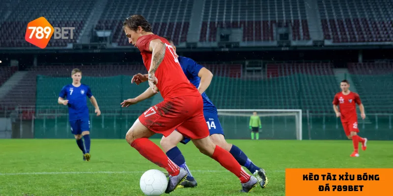 Mẹo bắt Kèo Tài Xỉu bóng đá 789bet chuẩn xác
