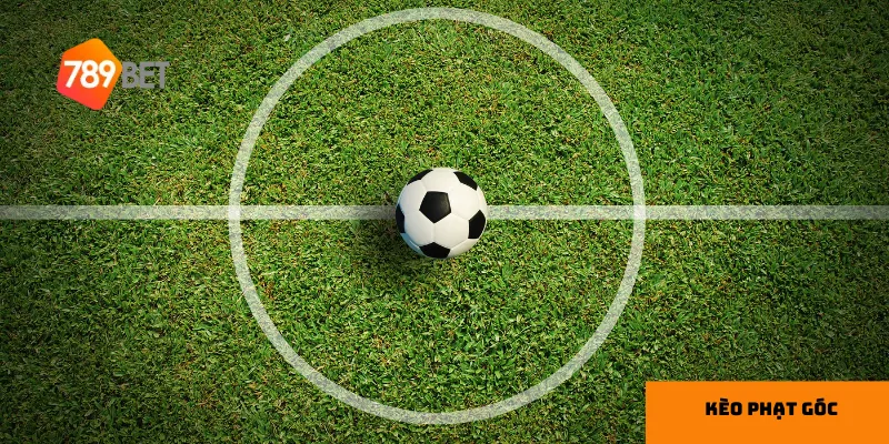 Tính chiến thuật cao trong dự đoán kèo phạt góc