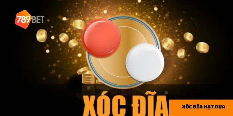 Quy trình xóc đĩa cơ bản cần hiểu rõ để bắt đầu.