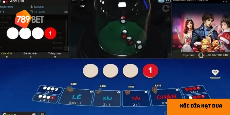 Quan sát kết quả giúp nhận diện xu hướng.