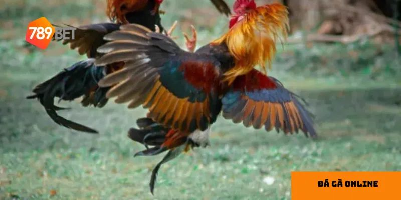 Sử dụng ưu đãi từ nhà cái là cách tốt để gia tăng lợi ích khi chơi.