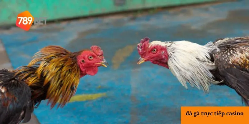 789bet: Lựa chọn hàng đầu cho người chơi