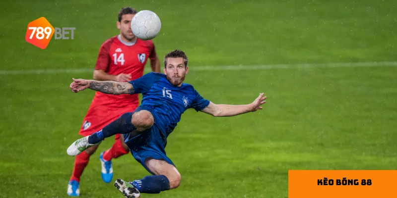 Hướng dẫn soi kèo bóng 88 hiệu quả cho người chơi
