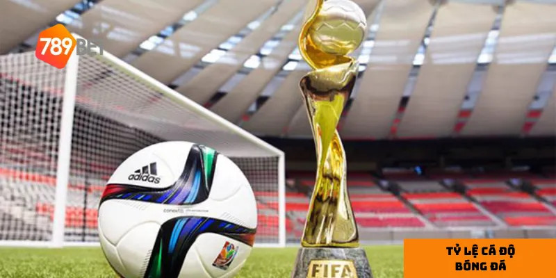 Vai trò tỷ lệ cược trong bóng đá