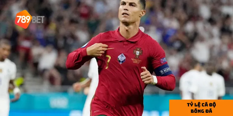 Giới thiệu 3 loại tỷ lệ cá độ bóng đá phổ biến