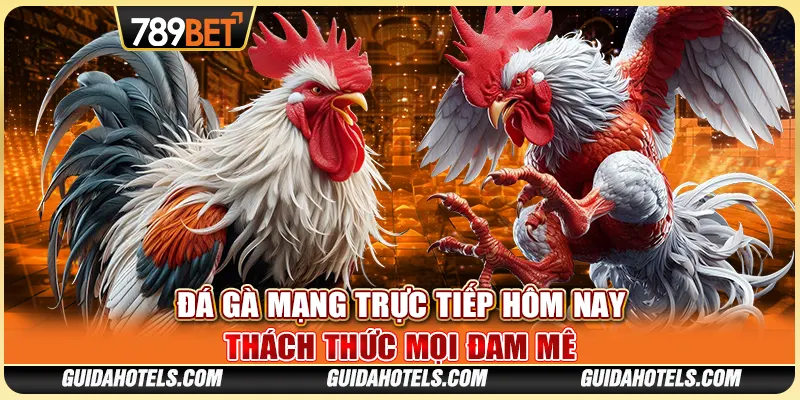 Đá Gà Mạng Trực Tiếp Hôm Nay - Thách Thức Mọi Đam Mê