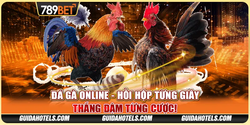 Đá Gà Online - Hồi Hộp Từng Giây, Thắng Đậm Từng Cược!
