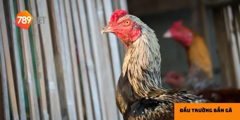 Hệ thống màn chơi đa dạng giúp giữ chân người chơi lâu dài.