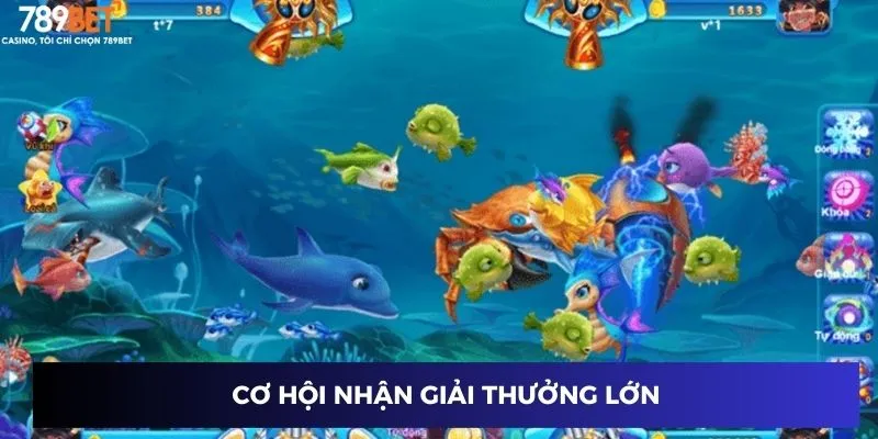 Cơ hội nhận giải thưởng lớn