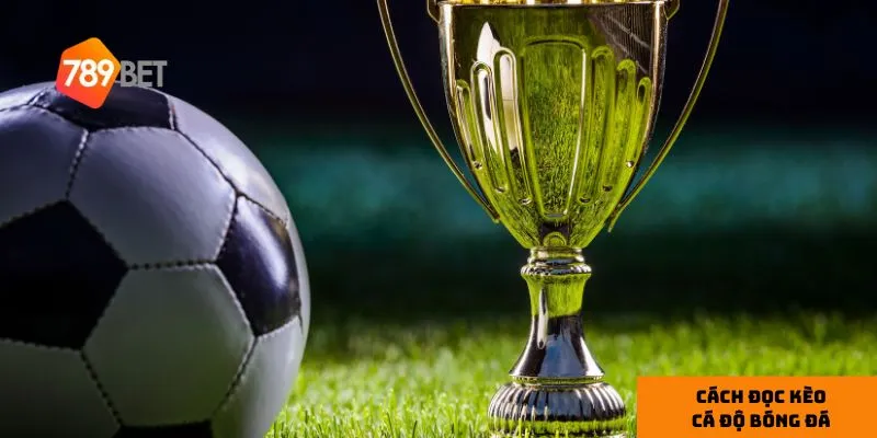 Phân tích trận đấu giúp bạn đưa ra quyết định đặt cược chính xác.