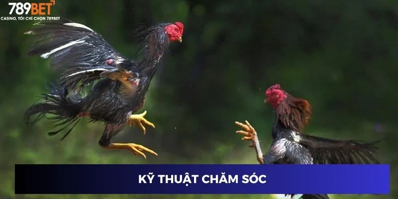 Kỹ thuật chăm sóc