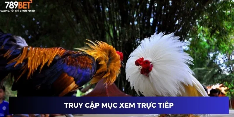 Chất lượng hình ảnh, âm thanh