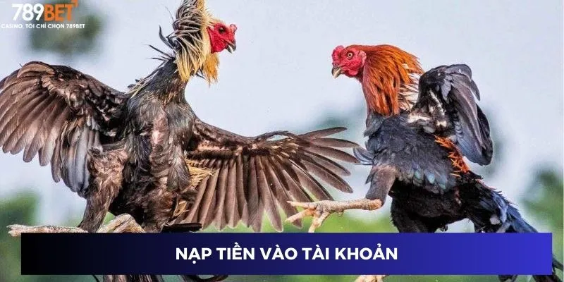 Nạp tiền vào tài khoản