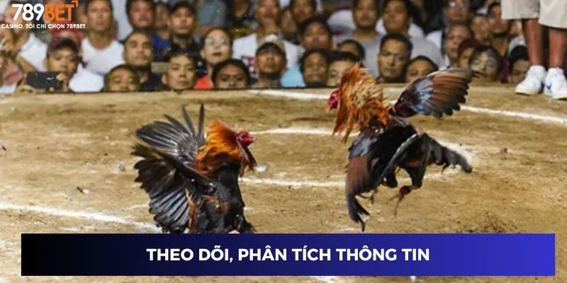 Theo dõi, phân tích thông tin đá gà trên mạng