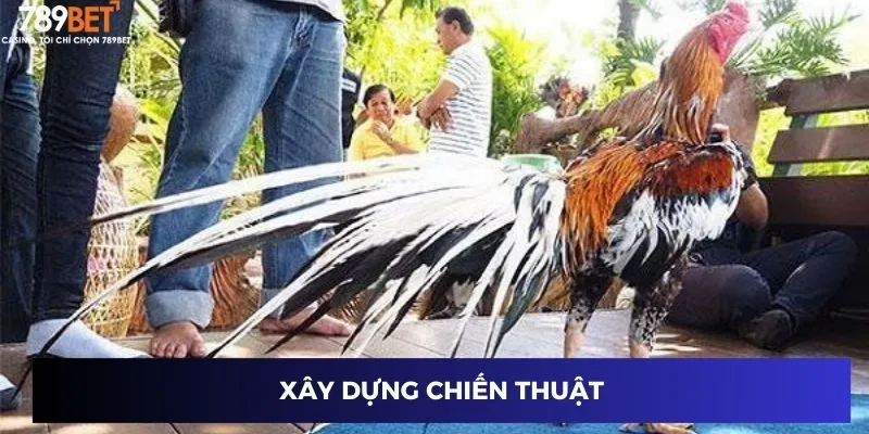 Xây dựng chiến thuật