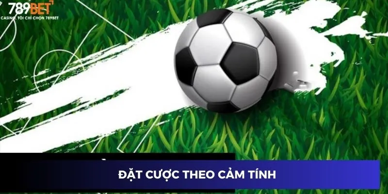 Đặt cược theo cảm tính