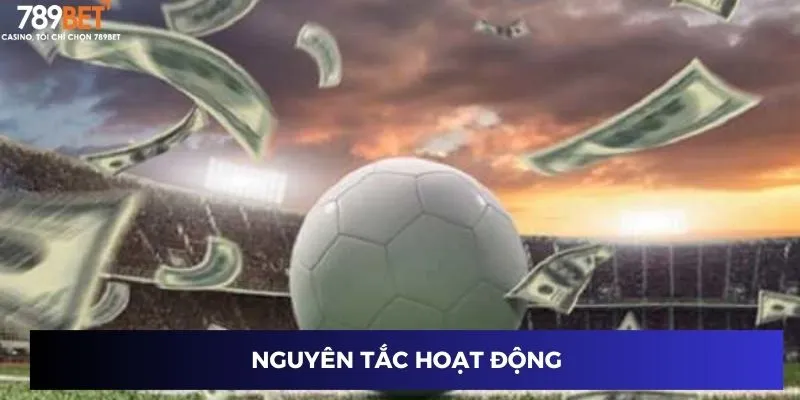 Nguyên tắc hoạt động