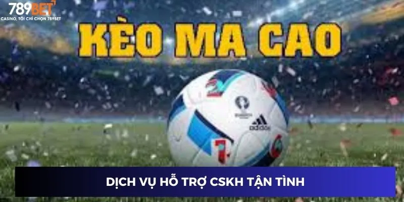Dịch vụ hỗ trợ CSKH tận tình