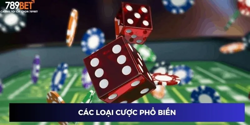 Các loại cược phổ biến