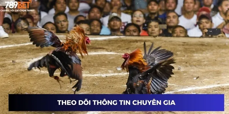 Theo dõi thông tin chuyên gia