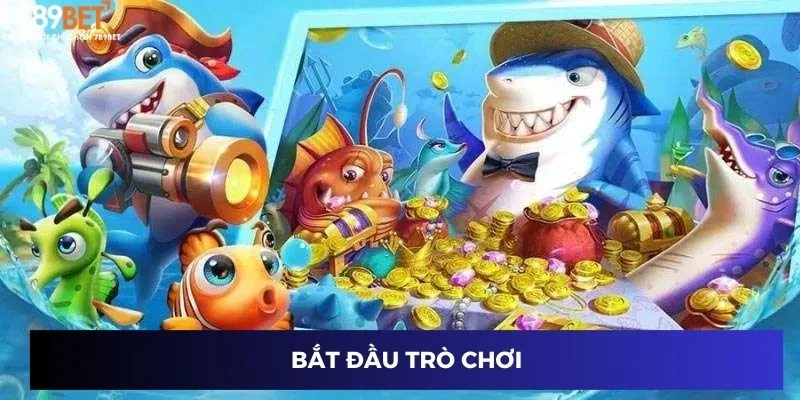 Bắt đầu trò chơi