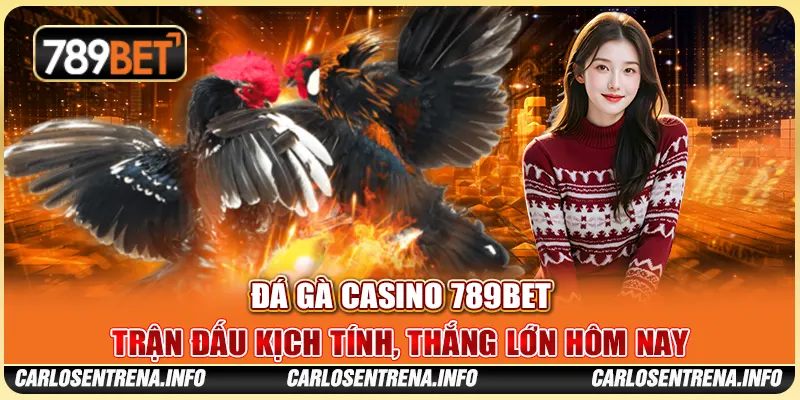 Đá Gà Casino 789BET - Trận Đấu Kịch Tính, Thắng Lớn Hôm Nay