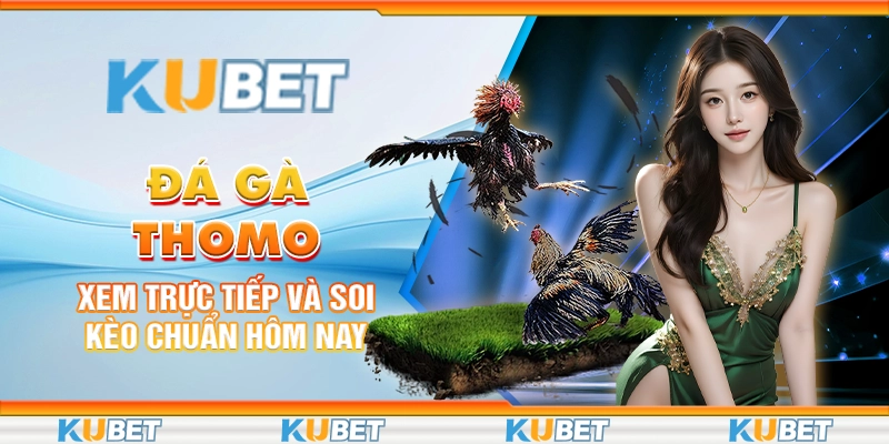 da-ga-thomo-xem-truc-tiep-va-soi-keo-chuan-hom-nay