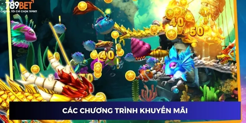 Các chương trình khuyến mãi