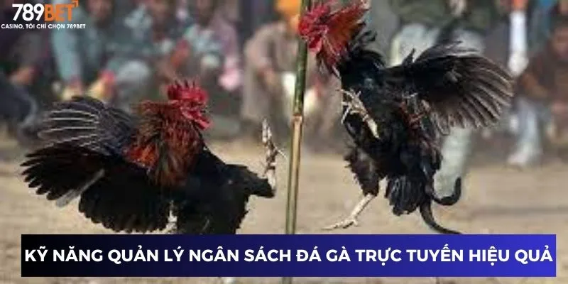 Kỹ năng quản lý ngân sách đá gà trực tuyến hiệu quả