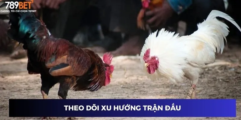 Theo dõi xu hướng trận đấu