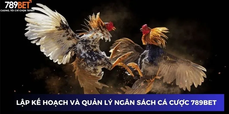 Lập kế hoạch và quản lý ngân sách cá cược 789BET