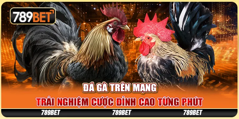 da-ga-tren-mang-trai-nghiem-cuoc-dinh-cao-tung-phut