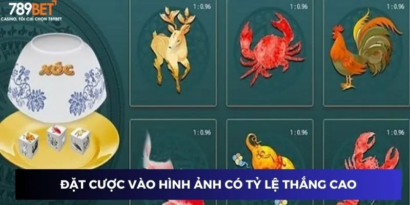 Đặt cược vào hình ảnh có tỷ lệ thắng cao