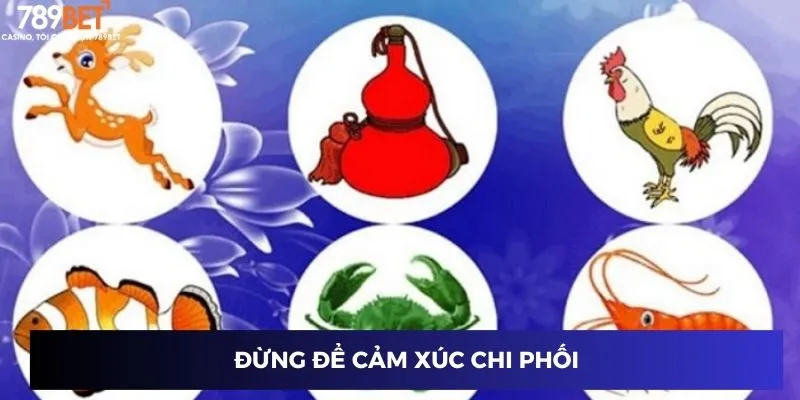 Đừng để cảm xúc chi phối