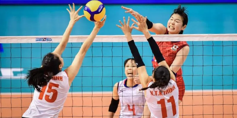 Tổng quan một vài thông tin hữu ích về tin tức bóng chuyền nữ