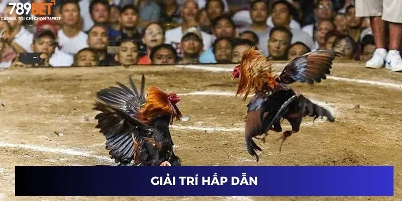 Giải trí hấp dẫn