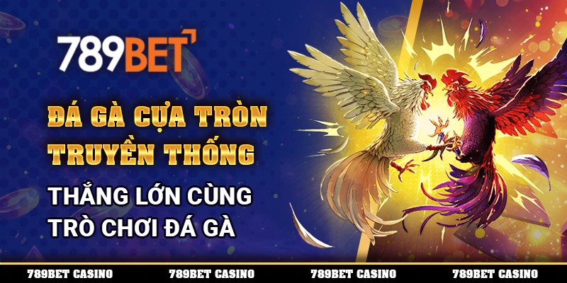 Đá Gà Cựa Tròn Truyền Thống – Thắng Lớn Cùng Trò Chơi Đá Gà