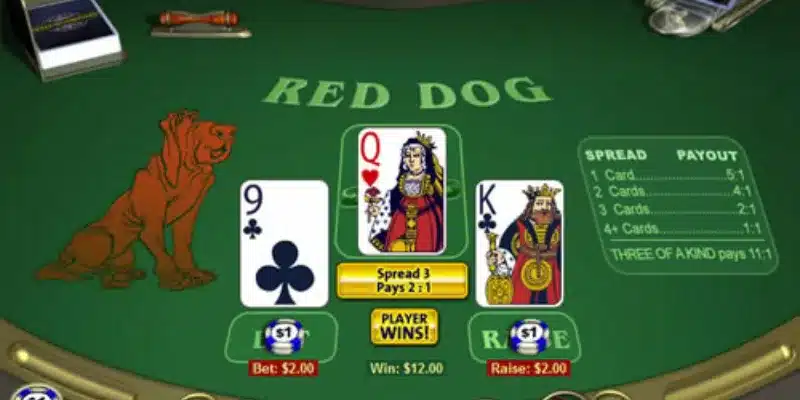 Giới thiệu tổng quan về trò chơi Red Dog Poker