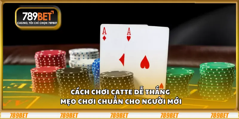 Cách chơi Catte dễ thắng – Mẹo chơi chuẩn cho người mới